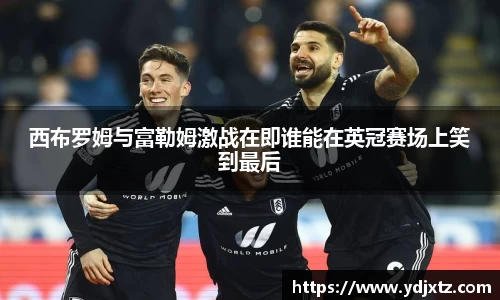 西布罗姆与富勒姆激战在即谁能在英冠赛场上笑到最后